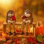 Preview: Igel Kantenhocker Set aus Keramik (2 Stück) – Herbstdeko & Geschenkidee