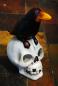 Mobile Preview: Rabe auf Totenkopf Schädel Figur Deko mit LED Beleuchtung 26 cm groß