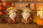 Preview: Herbstdeko Figuren Wichtel mit Pilzhut | 2er Set Polyresin 15cm stabil & langlebig