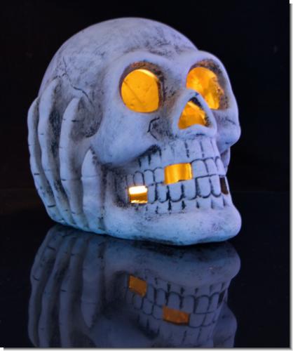 Totenkopf Skelett Schädel Skull Kerzenhalter Teelichthalter 16 cm groß NEU